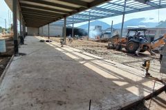 Foto-31-7-24-9-57-47-a.-m.-1-scaled