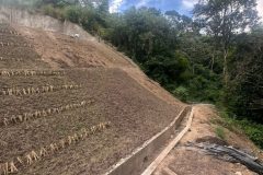 IMG-20250916-WA0286-scaled