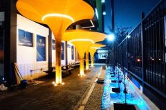 IMG_20230105_180950-scaled